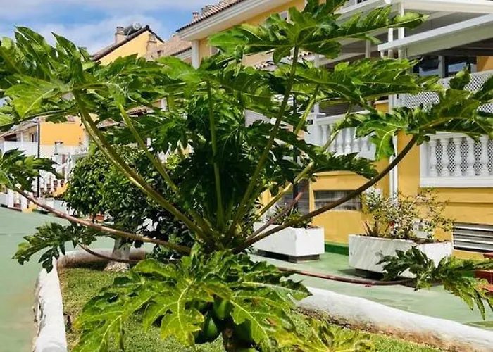 Americas Camison With Pool And Patio 7 By Tenerife365 * Playa de las Americas (Tenerife)
